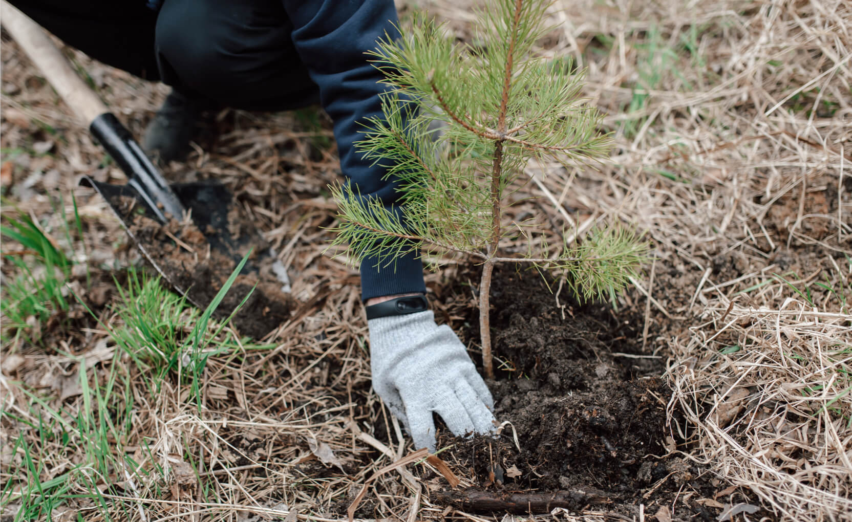 Community partners & charity giving